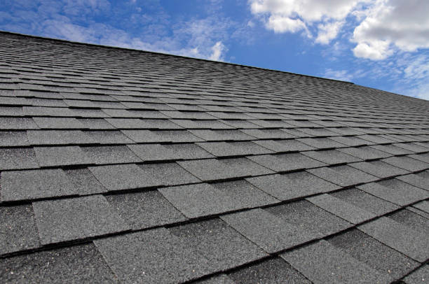 Best Asphalt Shingles Roofing  in Prospect Rk, PA