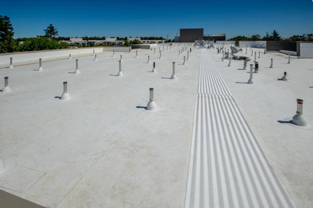 Best Storm Damage Roof Repair  in Prospect Rk, PA